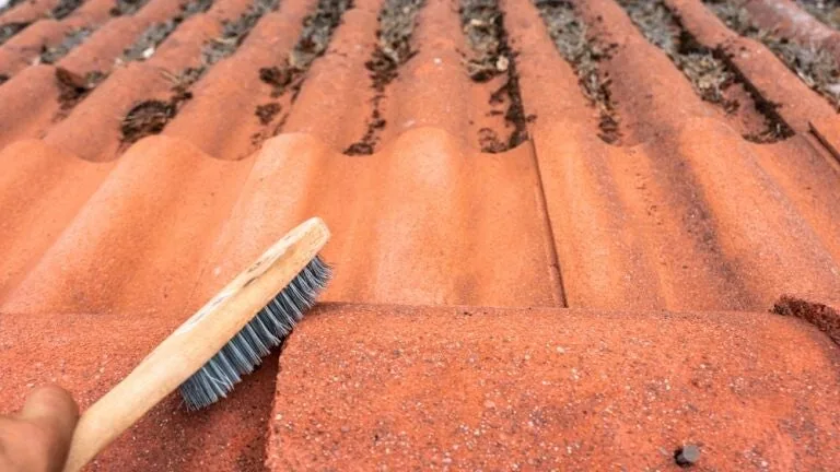 Nettoyage manuel — La brosse, quand la tuile ne supporte pas la pression.