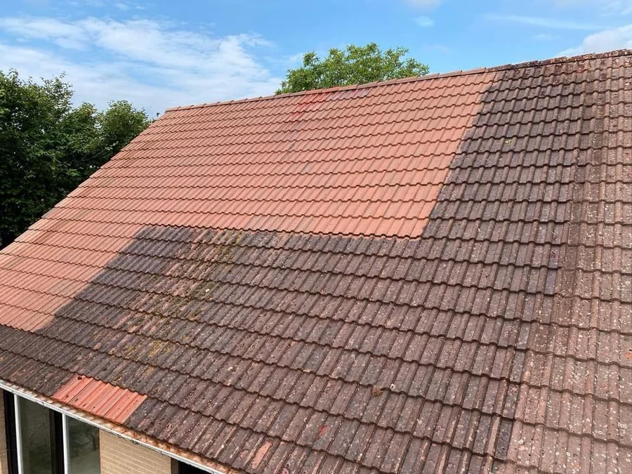 Toiture en cours de démoussage, la partie traitée nettement plus claire que la partie encore couverte de mousse