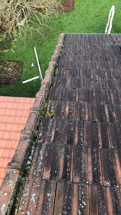Gouttière encombrée de mousse et de feuilles avant nettoyage