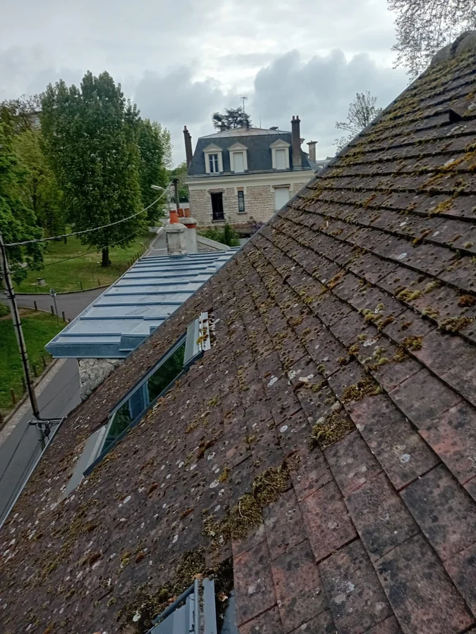 Toiture — Toiture envahie par la mousse, avant démoussage
